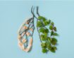 Best Lung Specialist in Dwarka: Expert Care for Asthma, COPD & Chest Infections