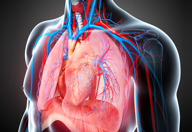 10 Signs You Should Visit Best Lung Specialist in Jhajjar, Haryana